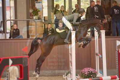Dansk Rideforbunds Championats finaler 2019 spring
Dansk Rideforbunds Championats finaler 2018
4års
Nøgleord: glen scotia z;camilla vincents