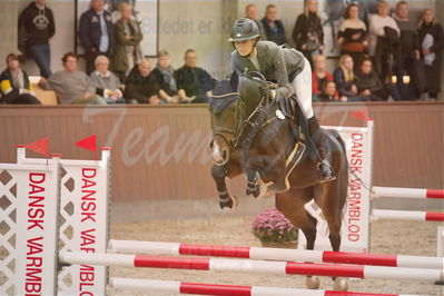 Dansk Rideforbunds Championats finaler 2019 spring
Dansk Rideforbunds Championats finaler 2018
4års
Nøgleord: glen scotia z;camilla vincents