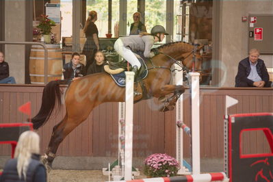 Dansk Rideforbunds Championats finaler 2019 spring
Dansk Rideforbunds Championats finaler 2018
4års
Nøgleord: calgrafi dwb;gitte dahl