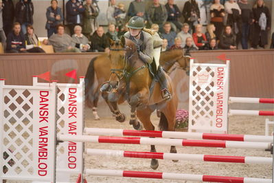 Dansk Rideforbunds Championats finaler 2019 spring
Dansk Rideforbunds Championats finaler 2018
4års
Nøgleord: calgrafi dwb;gitte dahl