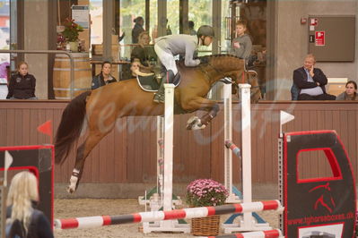 Dansk Rideforbunds Championats finaler 2019 spring
Dansk Rideforbunds Championats finaler 2018
4års
Nøgleord: oklahoma h;alexander lundggard kjeldsen