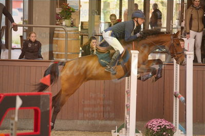 Dansk Rideforbunds Championats finaler 2019 spring
Dansk Rideforbunds Championats finaler 2018
4års
Nøgleord: blacks la carma;mads larsen