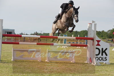 Drf championat spring kvl.6års
Nøgleord: christian jansen;volstrups celtic