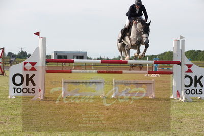 Drf championat spring kvl.6års
Nøgleord: thomas phil jensen;caba brons