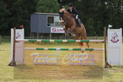 Drf championat spring kvl.6års
Nøgleord: pt;pernille tribler;ullerups carlo