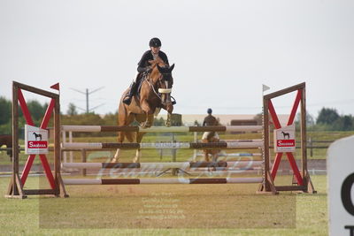 Drf championat spring kvl.6års
Nøgleord: pt;pernille tribler;ullerups carlo