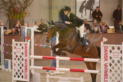 Dansk Rideforbunds Championats finaler 2019ring
Dansk Rideforbunds Championats finaler 2019
5 års
Nøgleord: rosengårdens francois;rikke rosengaard hansen