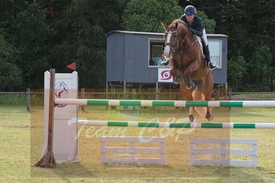 Drf championat spring kvl.6års
Nøgleord: pt;laila pdersen;casall sem