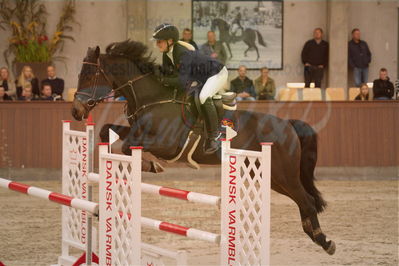 Dansk Rideforbunds Championats finaler 2019ring
Dansk Rideforbunds Championats finaler 2019
5 års
Nøgleord: django reimers;maria thrane jensen
