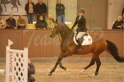 Dansk Rideforbunds Championats finaler 2019ring
Dansk Rideforbunds Championats finaler 2019
5 års
Nøgleord: svalegårds gold crelido;laila pdersen