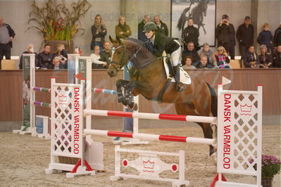 Dansk Rideforbunds Championats finaler 2019ring
Dansk Rideforbunds Championats finaler 2019
5 års
Nøgleord: svalegårds gold crelido;laila pdersen