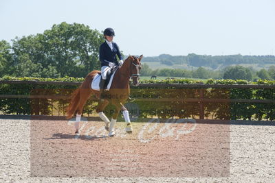 Blue Hors Dressurchampionat 2019 3års
Billeder fra stævnet
Nøgleord: venezia;caroline hansen