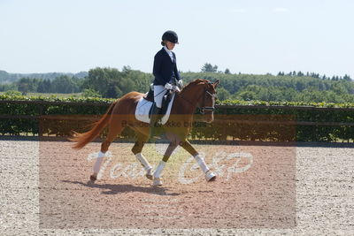 Blue Hors Dressurchampionat 2019 3års
Billeder fra stævnet
Nøgleord: venezia;caroline hansen