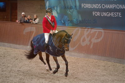 Dansk Rideforbunds Championats finaler 2019
Dansk Rideforbunds Championats finaler 2018
5 års
Nøgleord: katrinelund satisfaction;kasper h hansen;lap of honour