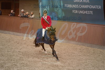 Dansk Rideforbunds Championats finaler 2019
Dansk Rideforbunds Championats finaler 2018
5 års
Nøgleord: katrinelund satisfaction;kasper h hansen;lap of honour