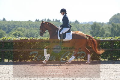 Blue Hors Dressurchampionat 2019 3års
Billeder fra stævnet
Nøgleord: venezia;caroline hansen