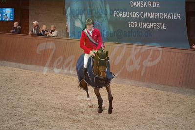 Dansk Rideforbunds Championats finaler 2019
Dansk Rideforbunds Championats finaler 2018
5 års
Nøgleord: katrinelund satisfaction;kasper h hansen;lap of honour