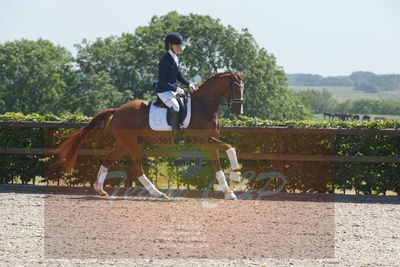 Blue Hors Dressurchampionat 2019 3års
Billeder fra stævnet
Nøgleord: venezia;caroline hansen