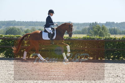 Blue Hors Dressurchampionat 2019 3års
Billeder fra stævnet
