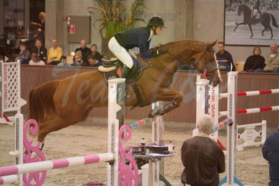 Dansk Rideforbunds Championats finaler 2019
Dansk Rideforbunds Championats finaler 2019
Nøgleord: stenbækgårds mojito;emilie louise wei laby