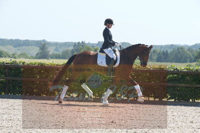 Blue Hors Dressurchampionat 2019 3års
Billeder fra stævnet
Nøgleord: solbakken's debbie;silje bakken