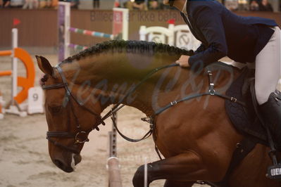 Dansk Rideforbunds Championats finaler 2019
Dansk Rideforbunds Championats finaler 2019
Nøgleord: mundbjergs sandrino boy;ida mundbjerg hansen