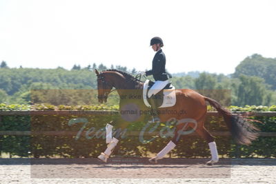 Blue Hors Dressurchampionat 2019 3års
Billeder fra stævnet
