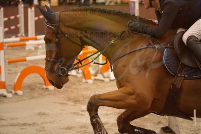 Dansk Rideforbunds Championats finaler 2019
Dansk Rideforbunds Championats finaler 2019
Nøgleord: new star vh russeltveld;malene lykke nielsen