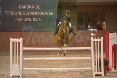 Dansk Rideforbunds Championats finaler 2019
Dansk Rideforbunds Championats finaler 2019
Nøgleord: new star vh russeltveld;malene lykke nielsen