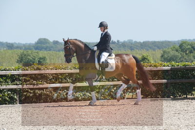 Blue Hors Dressurchampionat 2019 3års
Billeder fra stævnet
Nøgleord: svalegårds hot zalina;mette riisager