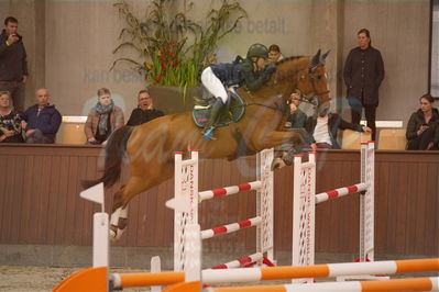 Dansk Rideforbunds Championats finaler 2019
Dansk Rideforbunds Championats finaler 2019
Nøgleord: new star vh russeltveld;malene lykke nielsen