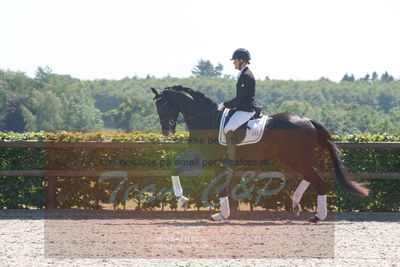 Blue Hors Dressurchampionat 2019 3års
Billeder fra stævnet
Nøgleord: skovgårds prima donna;lotte wiuff straarip