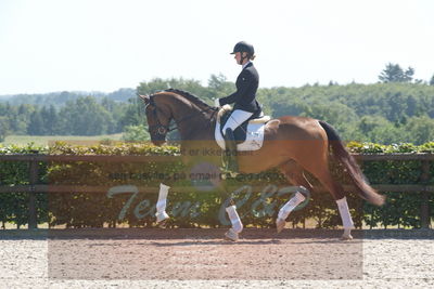 Blue Hors Dressurchampionat 2019 3års
Billeder fra stævnet
Nøgleord: svalegårds hot zalina;mette riisager