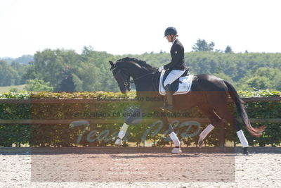 Blue Hors Dressurchampionat 2019 3års
Billeder fra stævnet
Nøgleord: skovgårds prima donna;lotte wiuff straarip