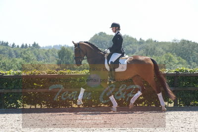 Blue Hors Dressurchampionat 2019 3års
Billeder fra stævnet
Nøgleord: svalegårds hot zalina;mette riisager