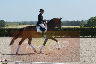 Blue Hors Dressurchampionat 2019 3års
Billeder fra stævnet
Nøgleord: svalegårds hot zalina;mette riisager