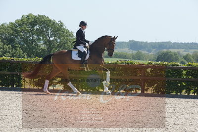 Blue Hors Dressurchampionat 2019 3års
Billeder fra stævnet
Nøgleord: svalegårds hot zalina;mette riisager