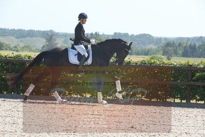 Blue Hors Dressurchampionat 2019 3års
Billeder fra stævnet
