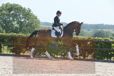 Blue Hors Dressurchampionat 2019 3års
Billeder fra stævnet
Nøgleord: svalegårds hot zalina;mette riisager