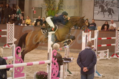 Dansk Rideforbunds Championats finaler 2019
Dansk Rideforbunds Championats finaler 2019
Nøgleord: stakko;maria barnewitz schou