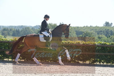 Blue Hors Dressurchampionat 2019 3års
Billeder fra stævnet
Nøgleord: svalegårds hot zalina;mette riisager