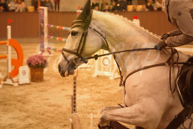 Dansk Rideforbunds Championats finaler 2019
Dansk Rideforbunds Championats finaler 2019
Nøgleord: lugranda;martin mose knudsen