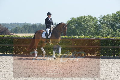 Blue Hors Dressurchampionat 2019 3års
Billeder fra stævnet
Nøgleord: mette riisager;svalegårds hot zalina