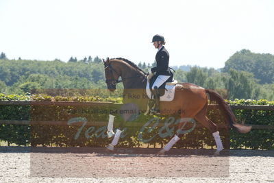 Blue Hors Dressurchampionat 2019 3års
Billeder fra stævnet
Nøgleord: mette riisager;svalegårds hot zalina