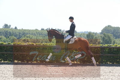 Blue Hors Dressurchampionat 2019 3års
Billeder fra stævnet
Nøgleord: dam's gazia;adam sparlund olese