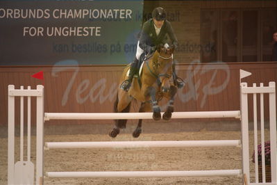 Dansk Rideforbunds Championats finaler 2019
Dansk Rideforbunds Championats finaler 2019
Nøgleord: alegra ask;søren møller rohde