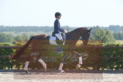 Blue Hors Dressurchampionat 2019 3års
Billeder fra stævnet
Nøgleord: mette rasmussen;rifbjergs zala