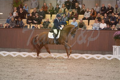 Dansk Rideforbunds Championats finaler 2019 dressur
Dansk Rideforbunds Championats finaler 2019
5 års
Nøgleord: severo jurado lopez;springbank II vh