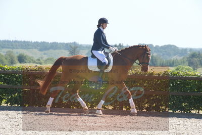 Blue Hors Dressurchampionat 2019 3års
Billeder fra stævnet
Nøgleord: sara søgaard;lillestaruphøjs  dreamcatcher