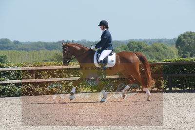 Blue Hors Dressurchampionat 2019 3års
Billeder fra stævnet
Nøgleord: sara søgaard;lillestaruphøjs  dreamcatcher